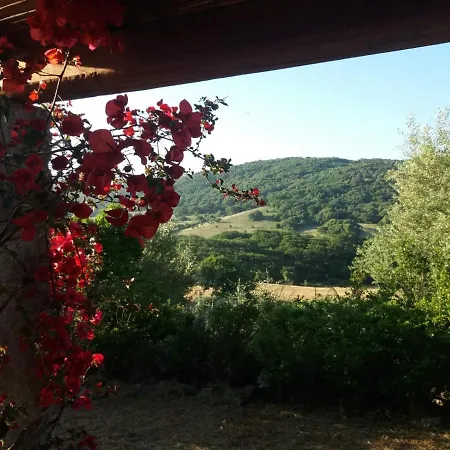 La Puntaccina Holiday home