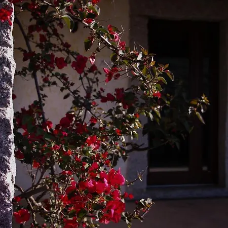 La Puntaccina Holiday home *