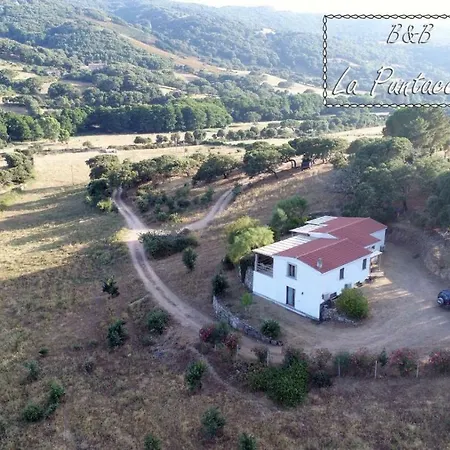 La Puntaccina * Aglientu